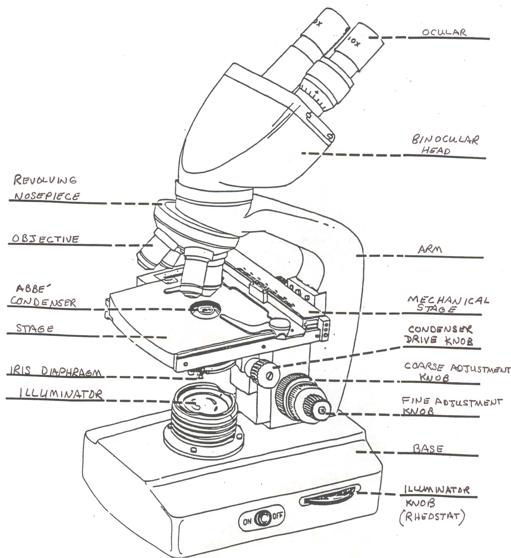 Microscope Drawing And Label at GetDrawings Free download