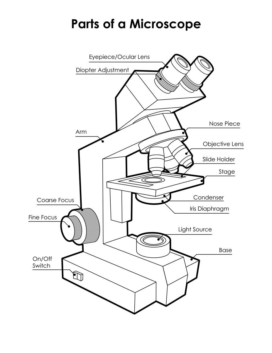 microscope-drawing-template-at-getdrawings-free-download