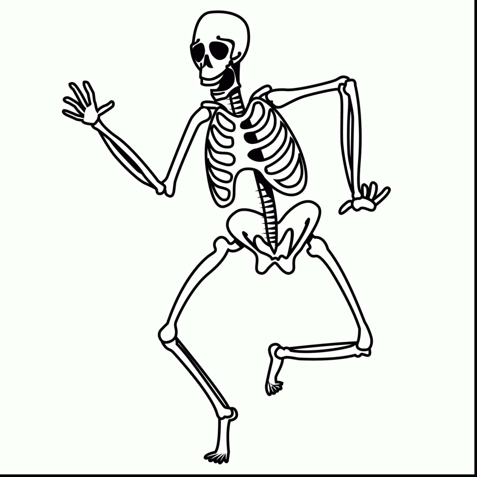 The best free Skeleton drawing images. Download from 3391