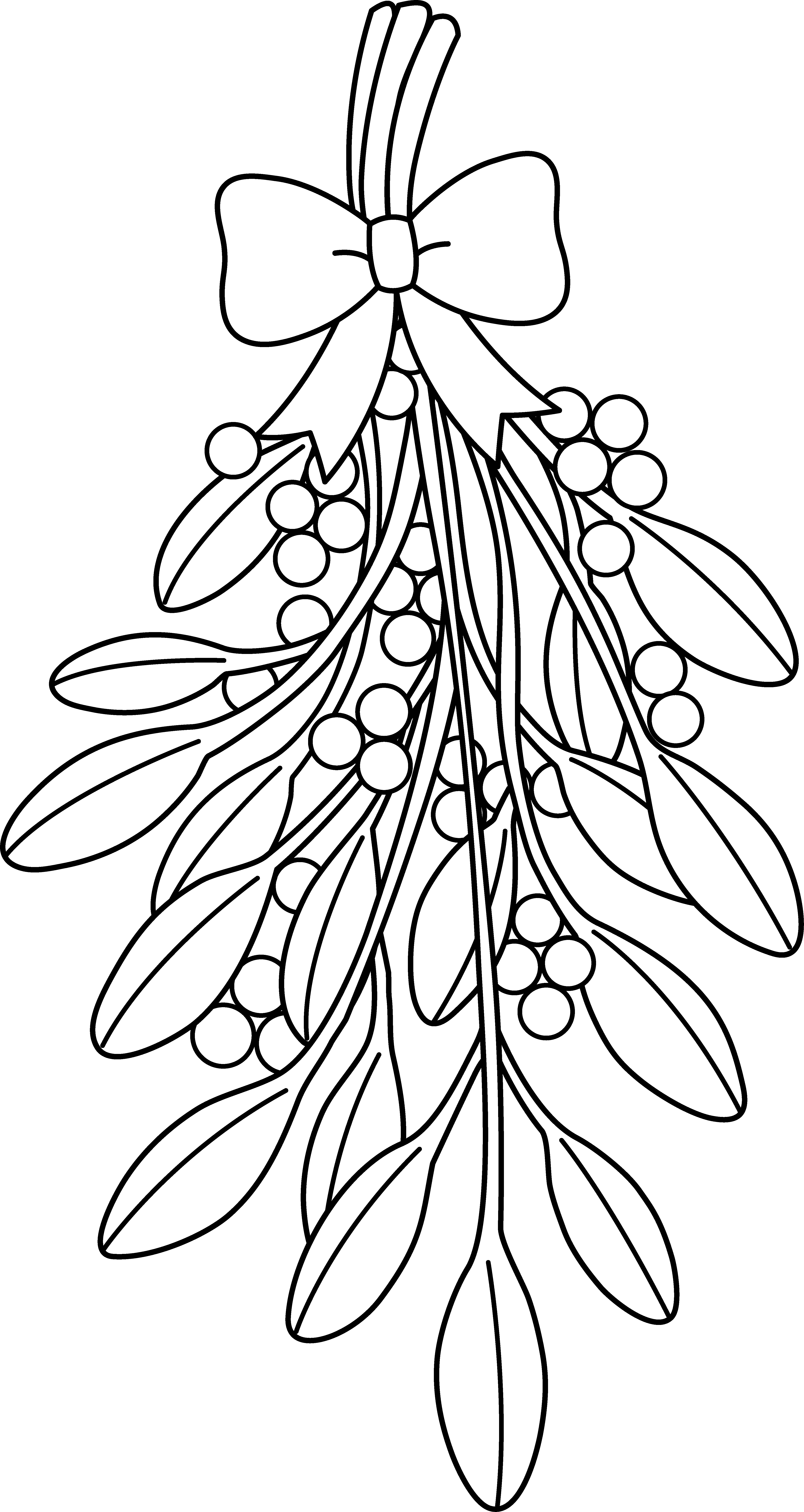 Mistletoe Drawing at GetDrawings Free download