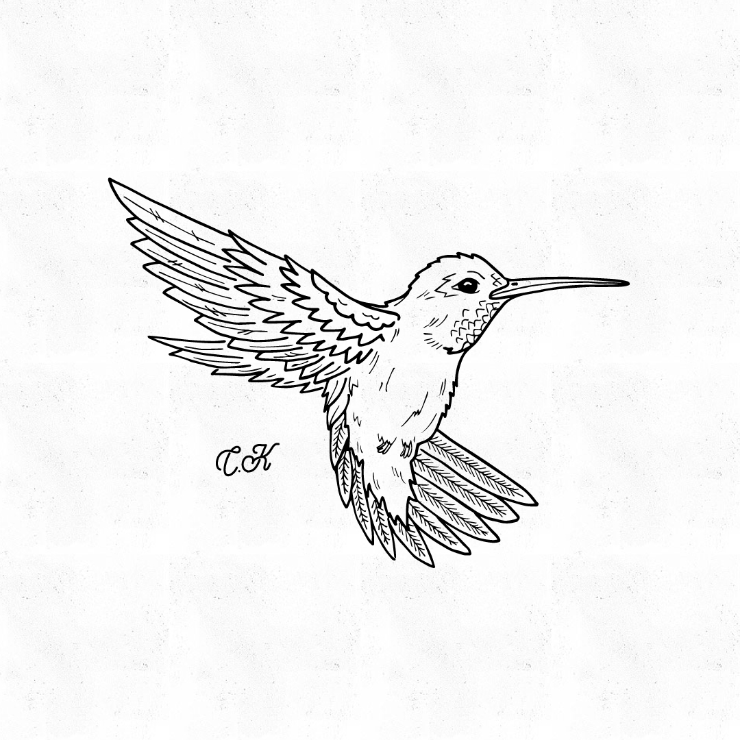 The Best Free Mockingbird Drawing Images. Download From 143 Free 