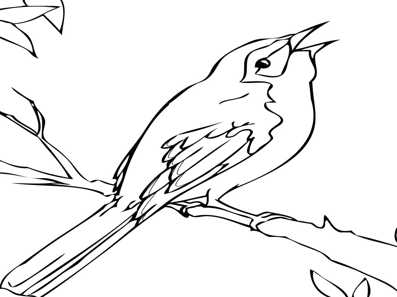 Mockingbird Drawing at GetDrawings Free download