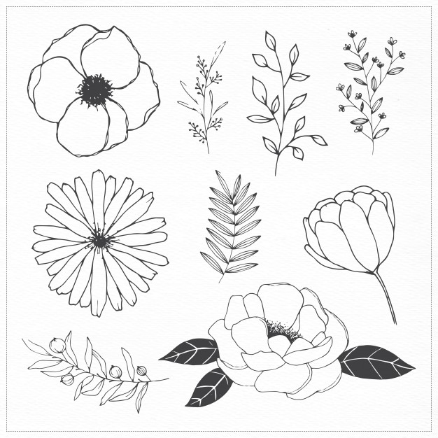 Modern Flower Drawing At GetDrawings | Free Download