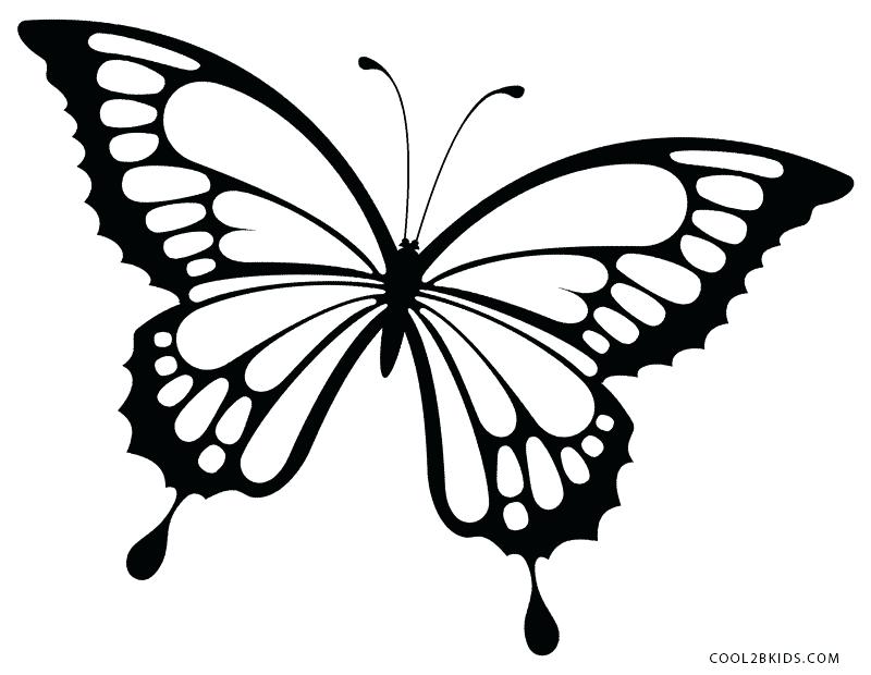 Monarch Butterfly Drawing at GetDrawings | Free download