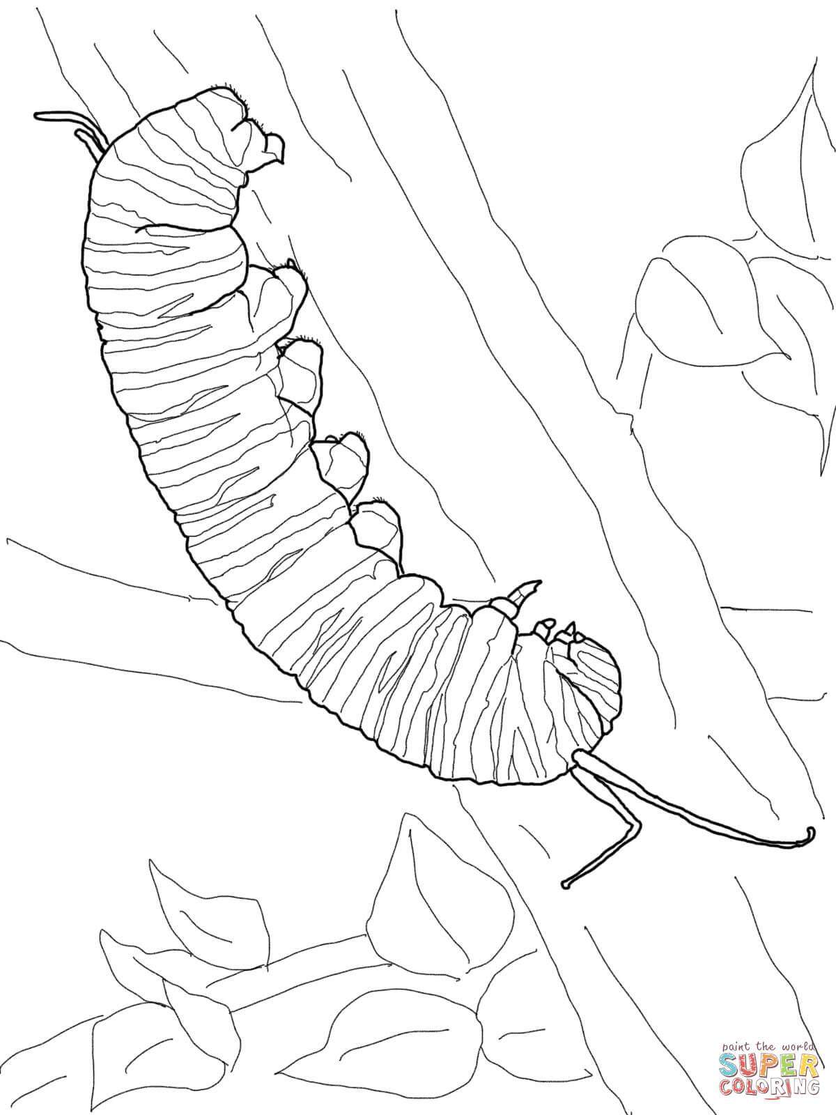 Monarch Caterpillar Drawing at GetDrawings Free download