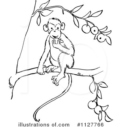 Monkey Line Drawing at GetDrawings | Free download