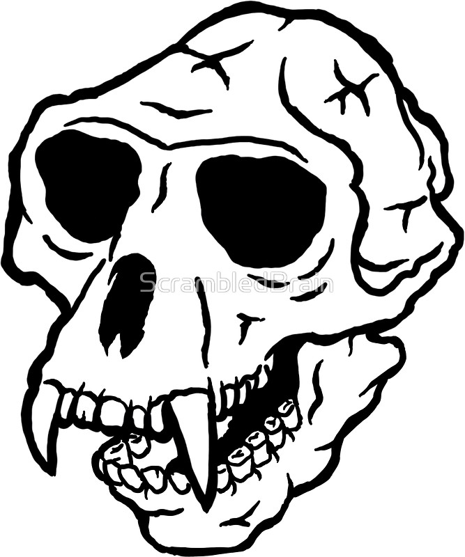 Monkey Skull Drawing at GetDrawings Free download