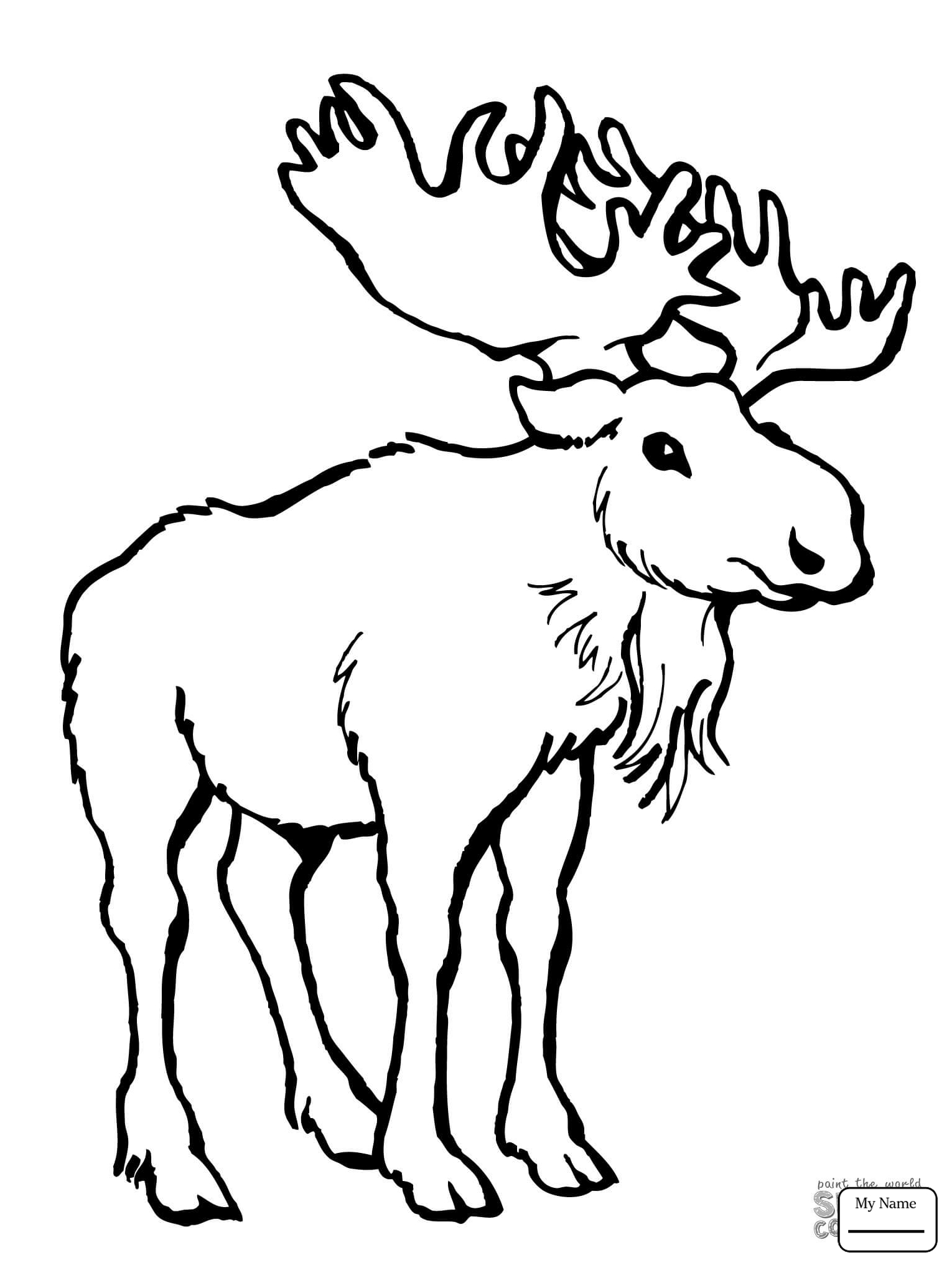 Moose Drawing For Kids at GetDrawings Free download