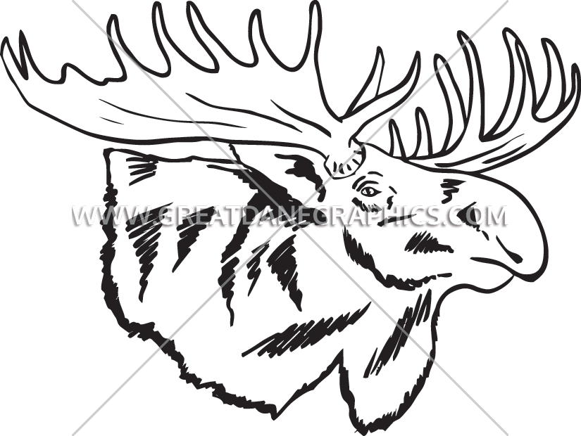 Moose Head Drawing at GetDrawings | Free download