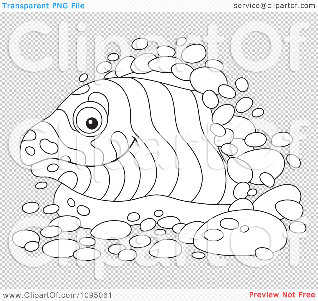 Moray Eel Drawing at GetDrawings | Free download