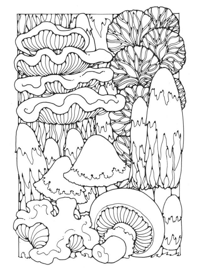 Morel Mushroom Drawing At Getdrawings Free Download