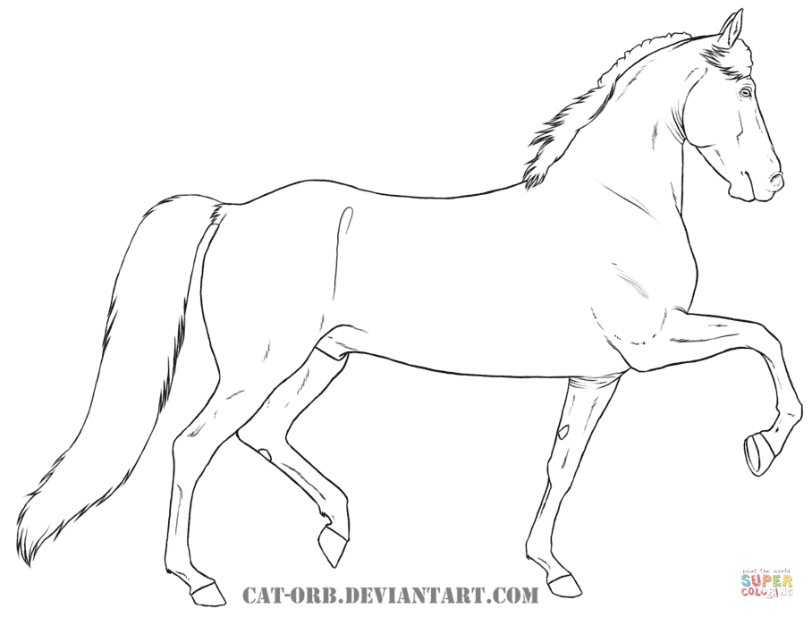 Morgan Horse Drawing at GetDrawings | Free download