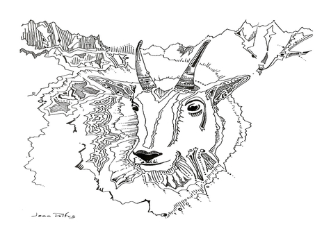 Mountain Goat Drawing at GetDrawings | Free download