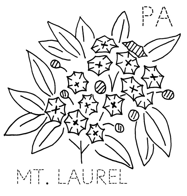 Mountain Laurel Drawing at GetDrawings Free download