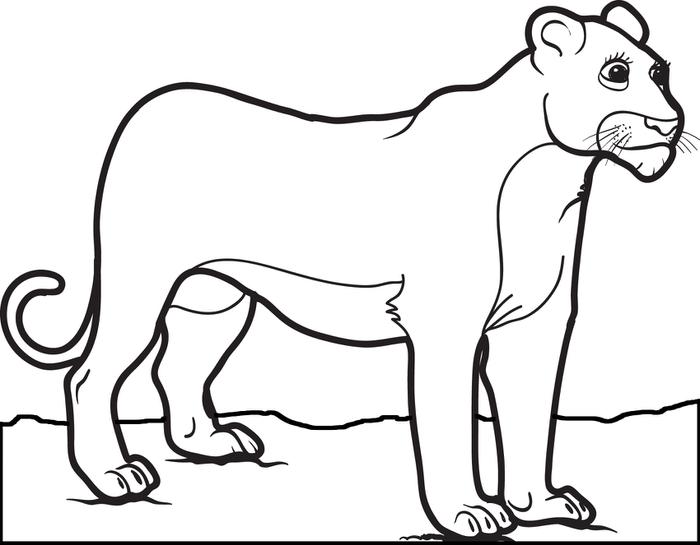 547 Simple Mountain Lion Coloring Pages with disney character