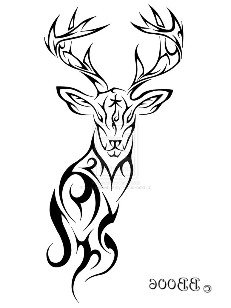 Mule Deer Skull Drawing at GetDrawings Free download