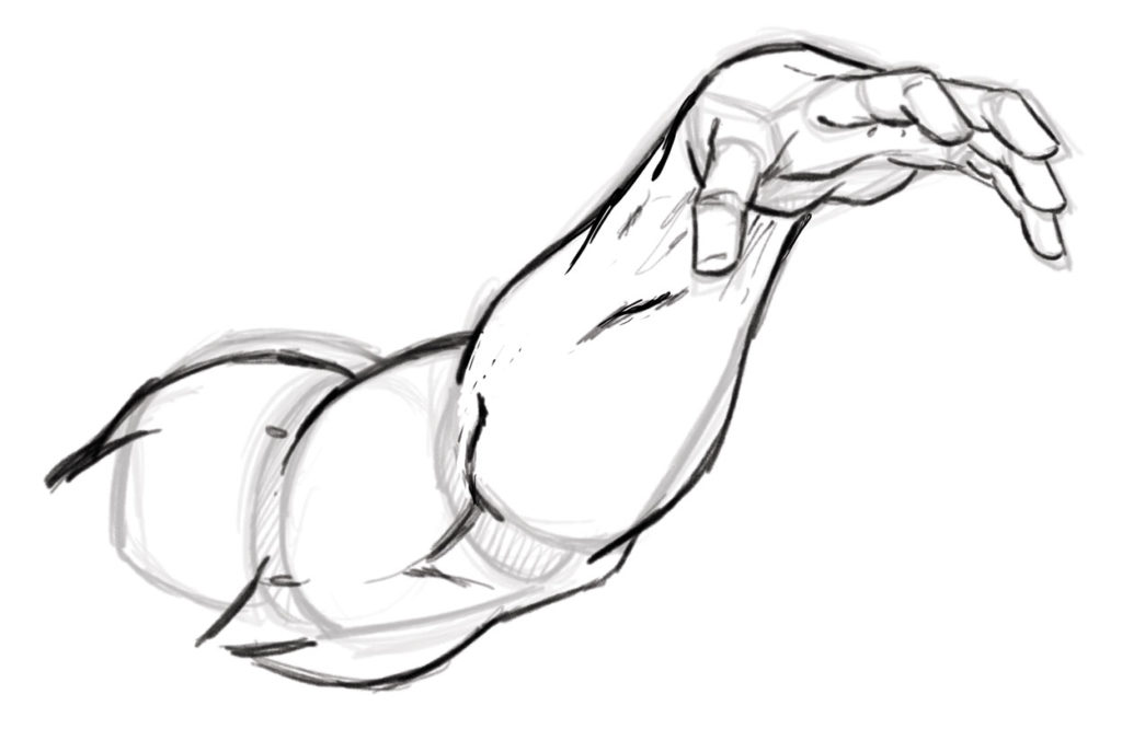 Muscle Arm Drawing at GetDrawings | Free download