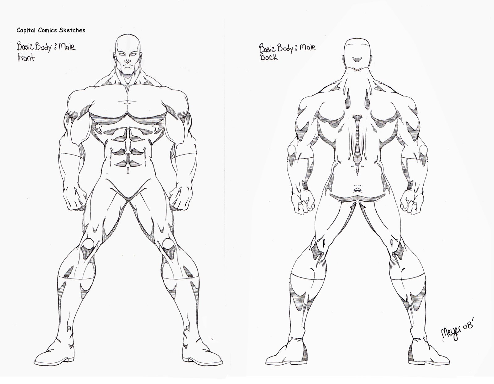 Muscular Body Drawing at GetDrawings | Free download