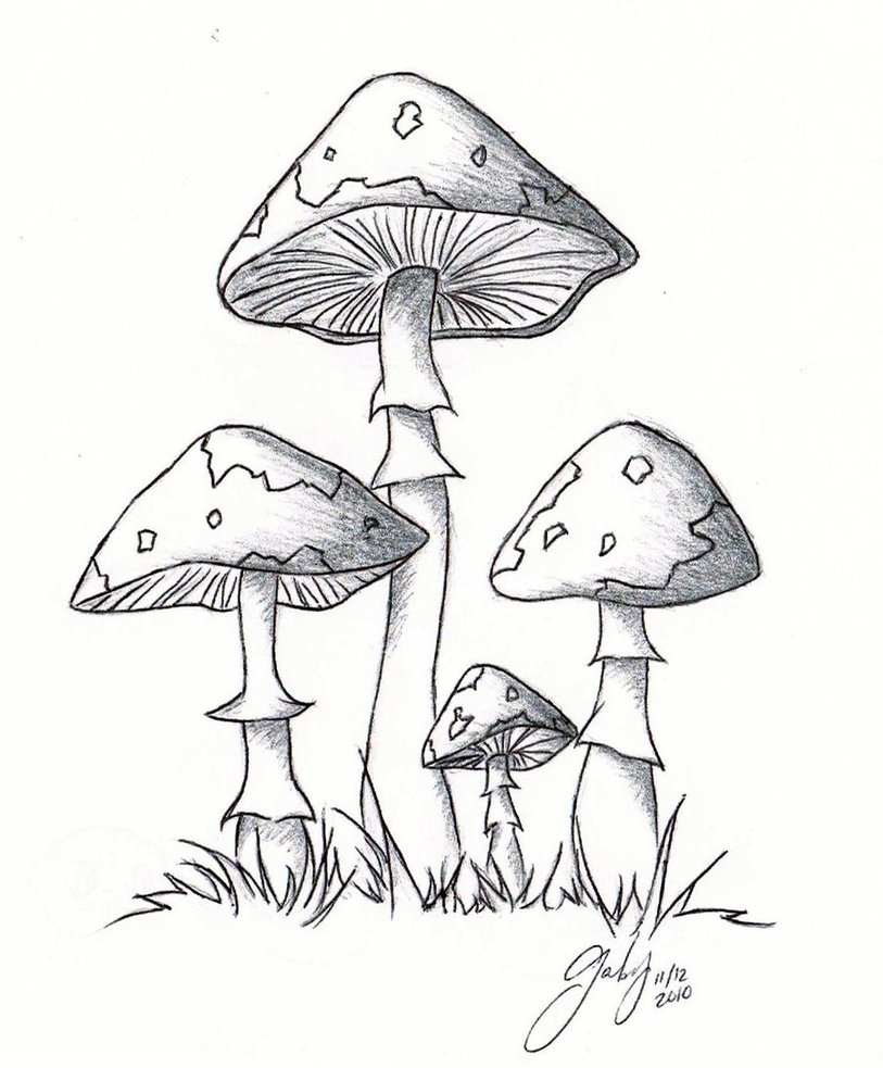 Mushroom Cartoon Drawing at GetDrawings Free download