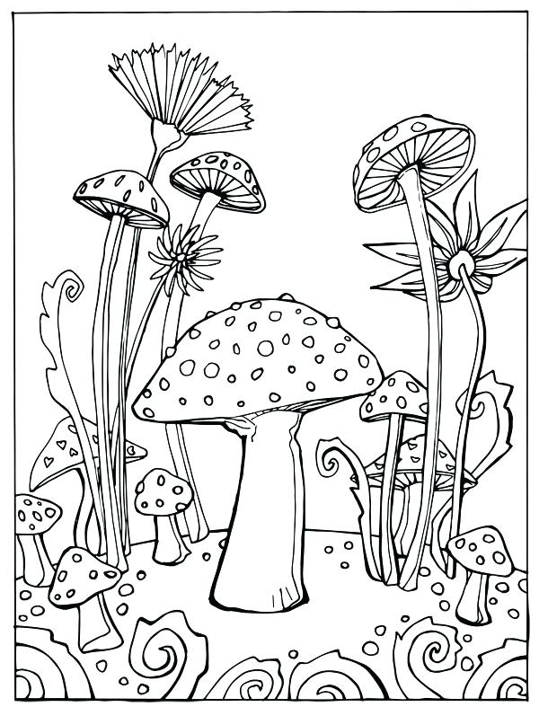 Mushroom Line Drawing at GetDrawings | Free download