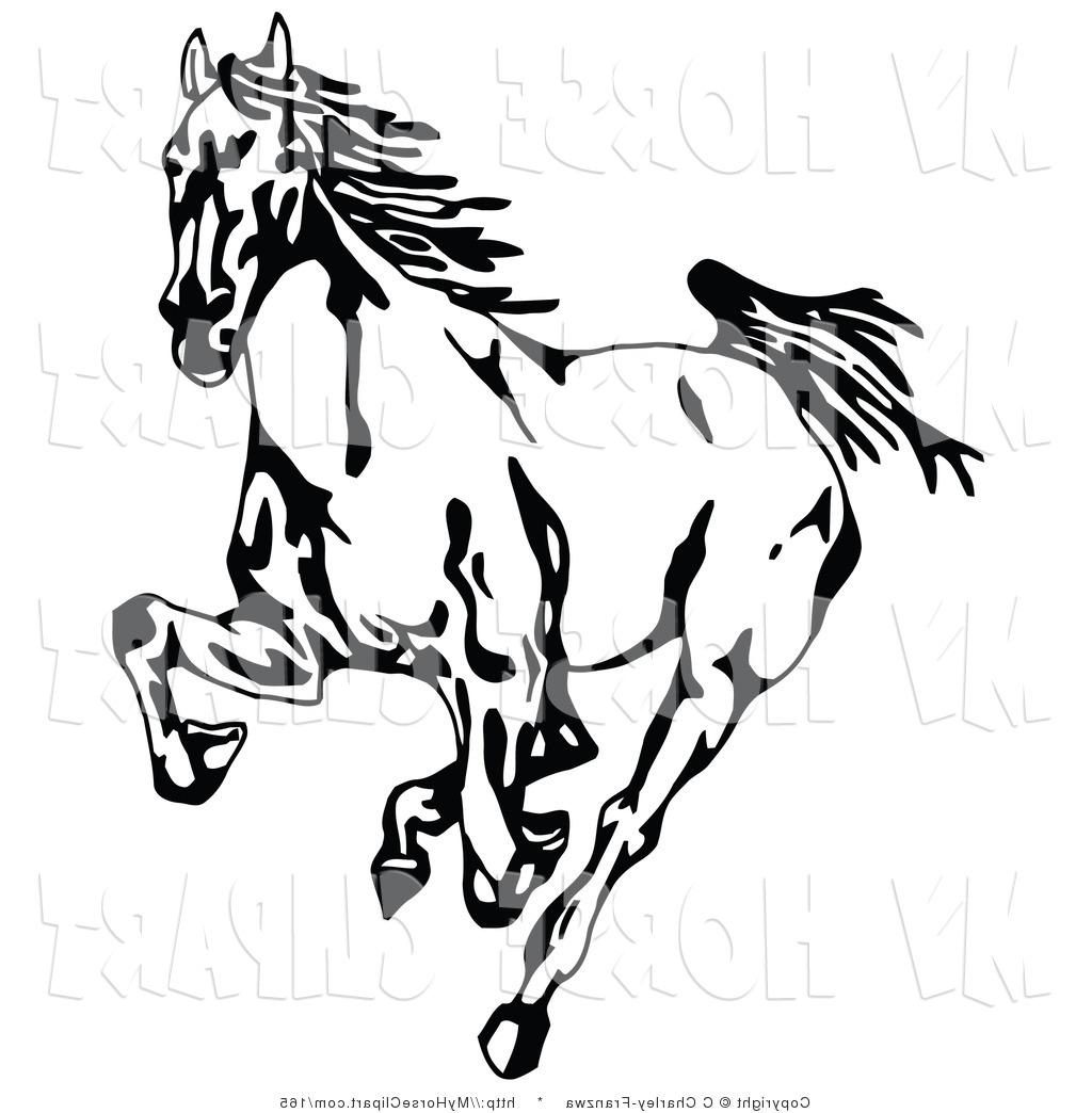 Mustang Horse Line Drawing at GetDrawings | Free download