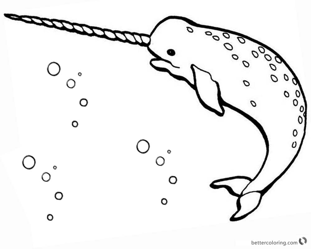 Narwhal Drawing at GetDrawings Free download