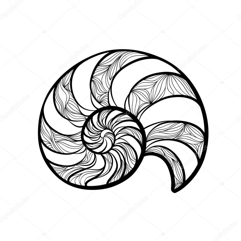 Nautilus Line Drawing at GetDrawings | Free download