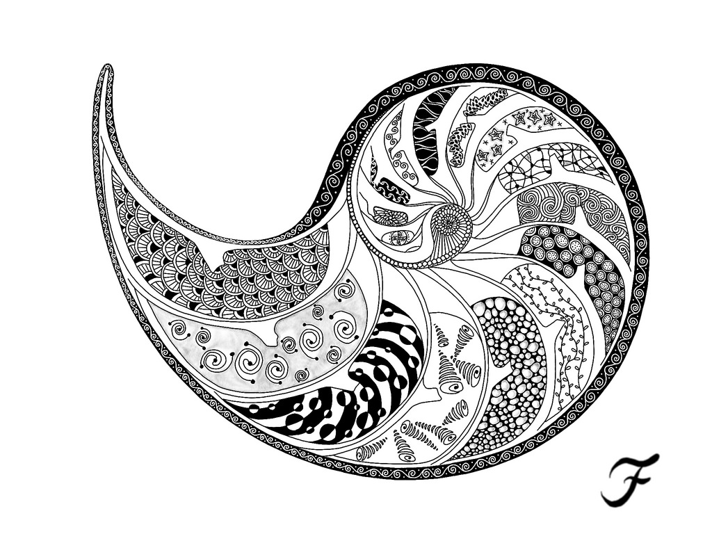 Nautilus Shell Drawing at GetDrawings | Free download