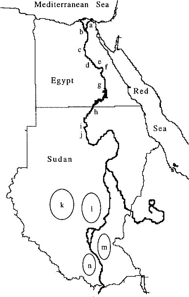 Top How To Draw The Nile River Step By Step  Check it out now 