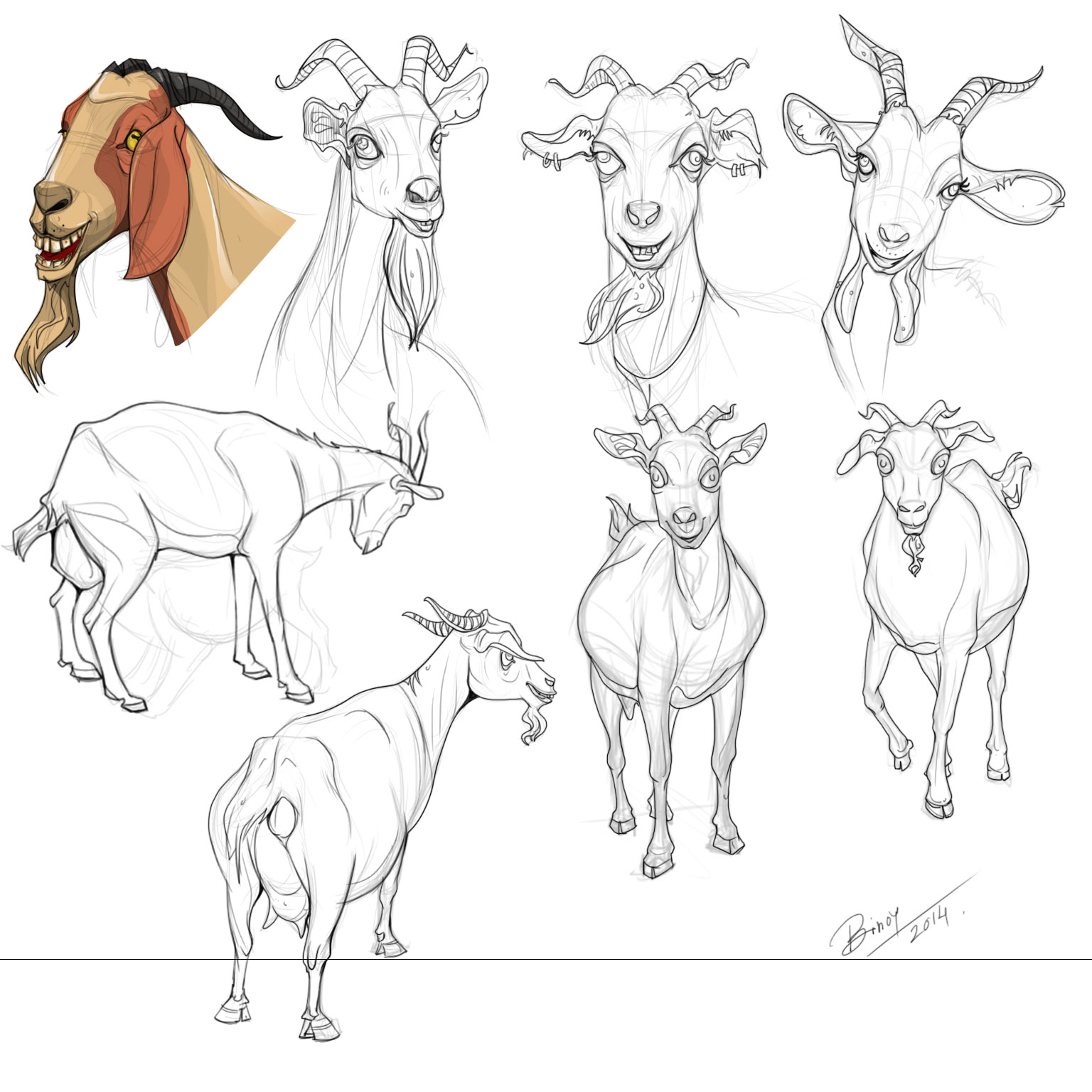 Nubian Goat Drawing At GetDrawings | Free Download