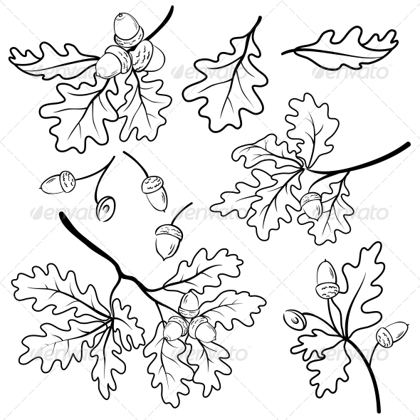 Tree Drawing Oak at GetDrawings | Free download