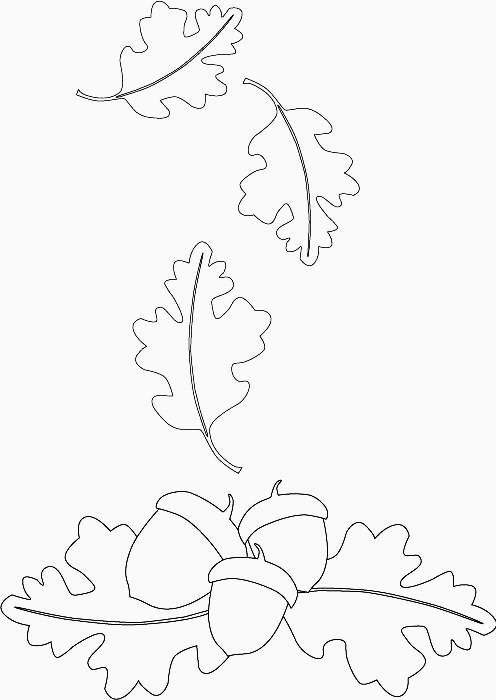 Oak Leaf Drawing Template at GetDrawings | Free download