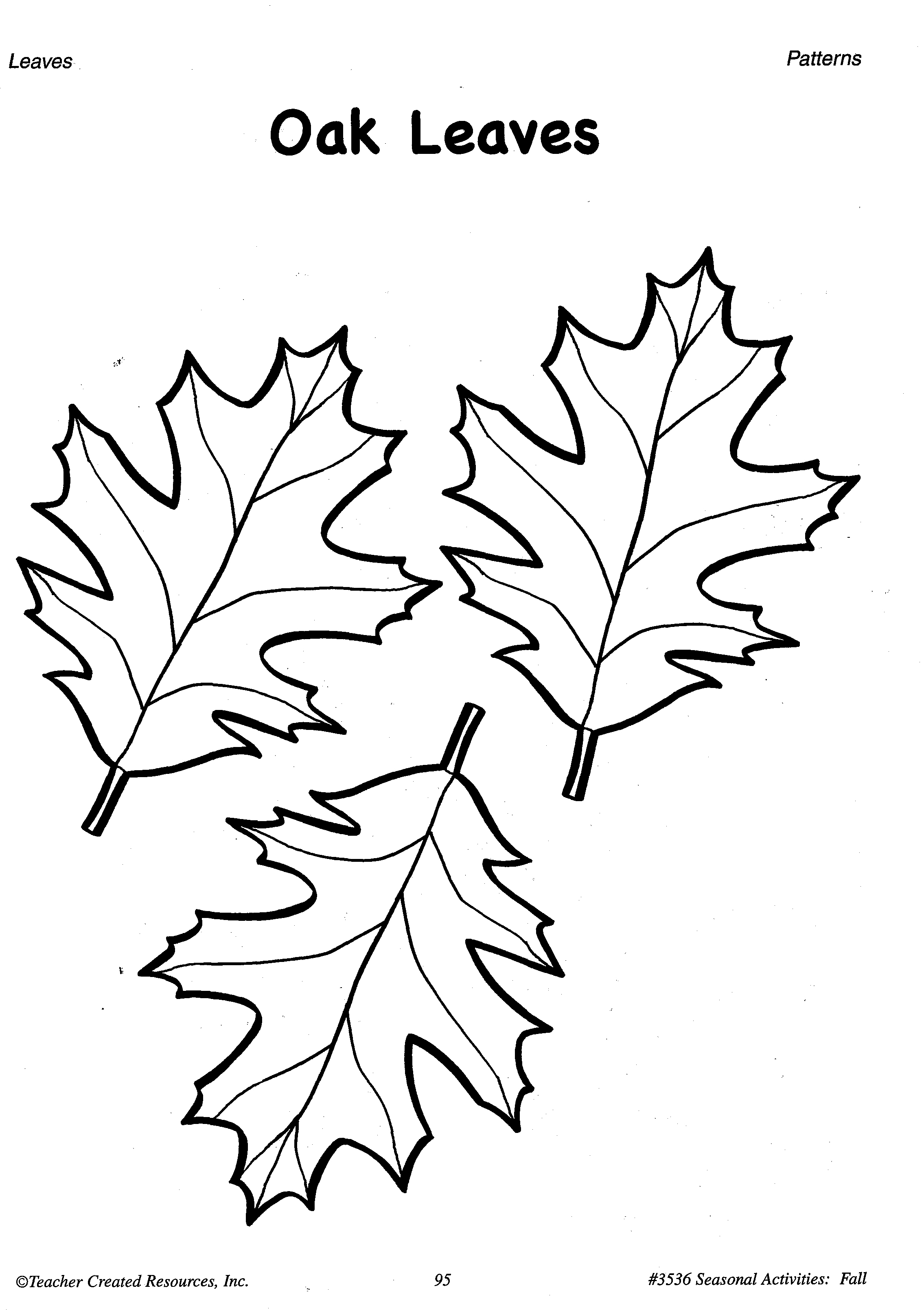oak-leaf-drawing-template-at-getdrawings-free-download