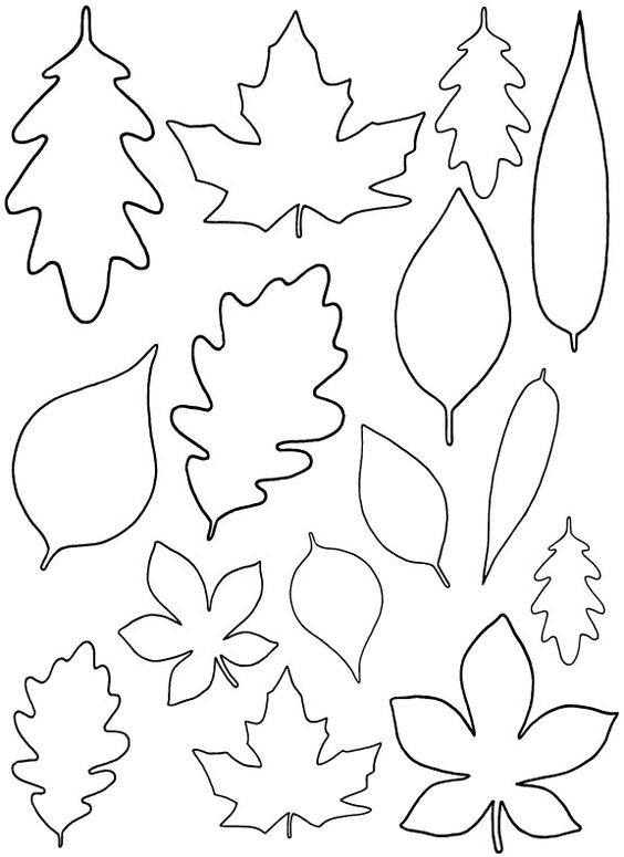 Oak Leaf Drawing Template at GetDrawings | Free download