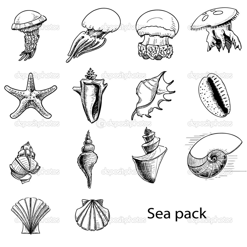 Ocean Animals Drawing at GetDrawings | Free download