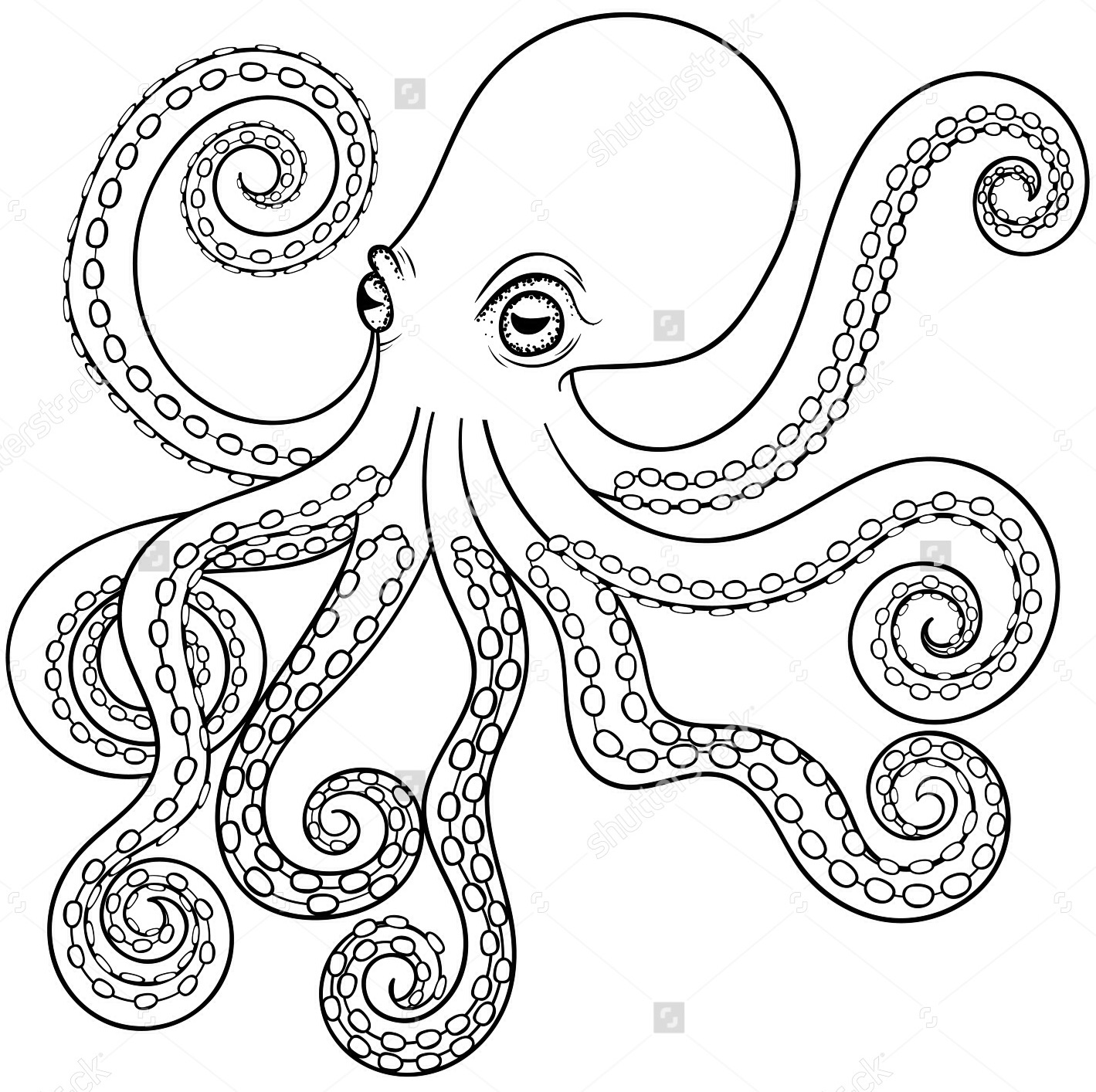 Octopus Drawing Pictures at GetDrawings | Free download