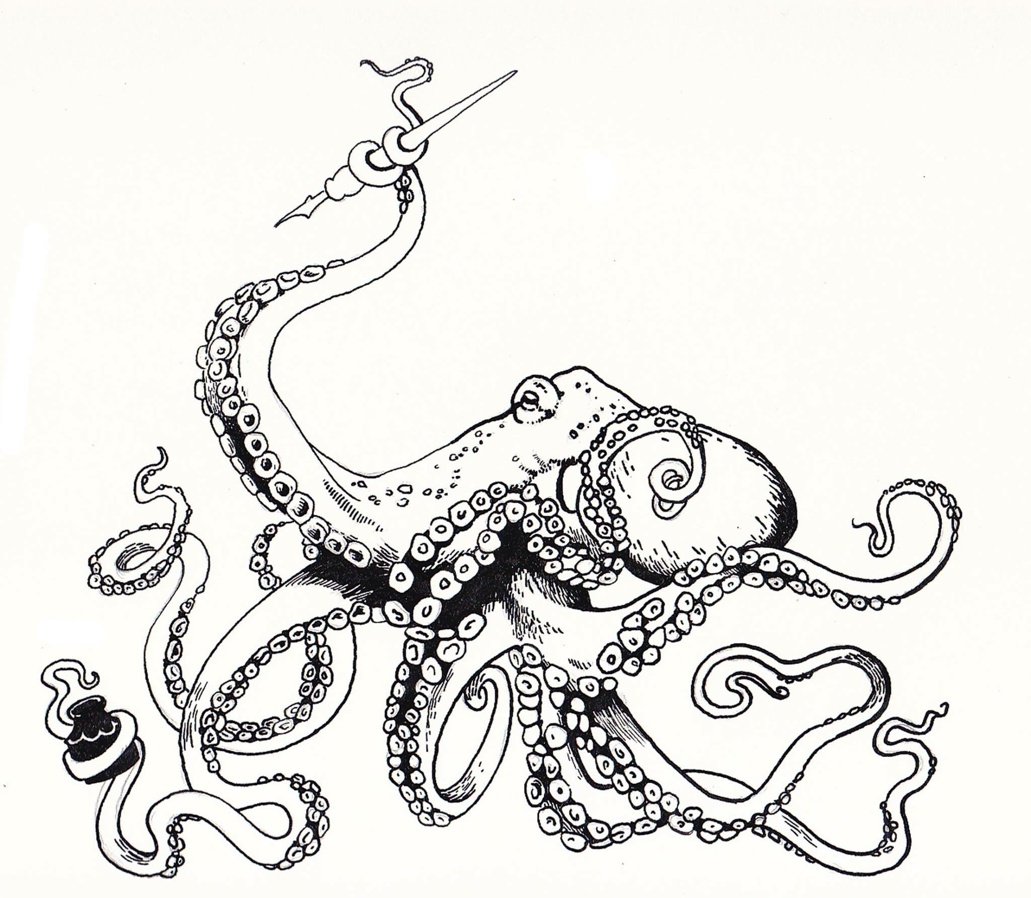 Octopus Ink Drawing at GetDrawings Free download