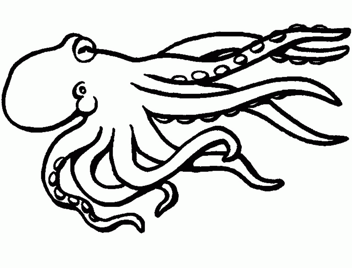 octopus-outline-drawing-at-getdrawings-free-download