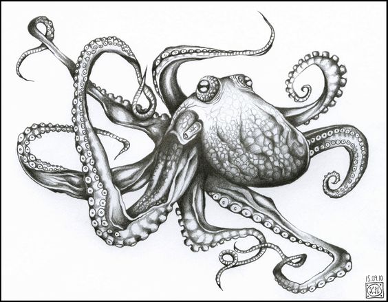 black and white mood octopus