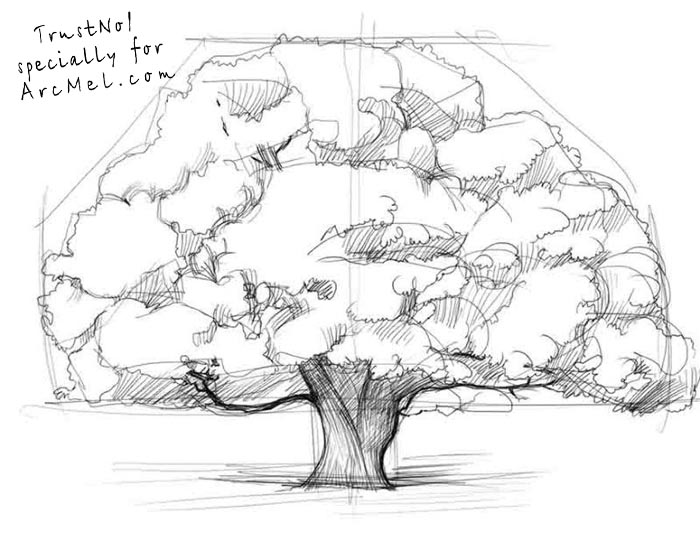 Old Oak Tree Drawing at GetDrawings | Free download