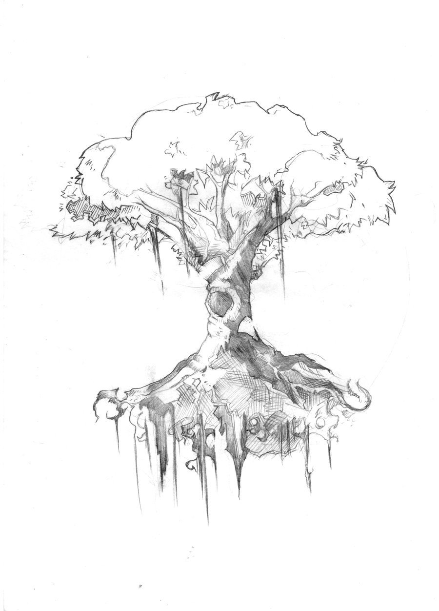 Old Oak Tree Drawing at GetDrawings | Free download