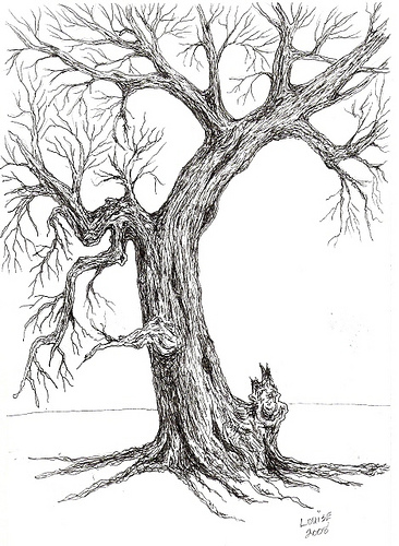 Old Oak Tree Drawing at GetDrawings | Free download