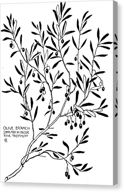 Olive Branch Drawing at GetDrawings | Free download