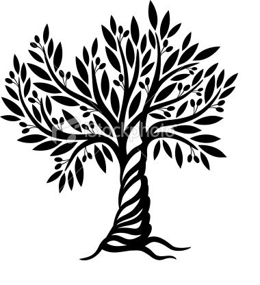 Olive Tree Drawing at GetDrawings | Free download