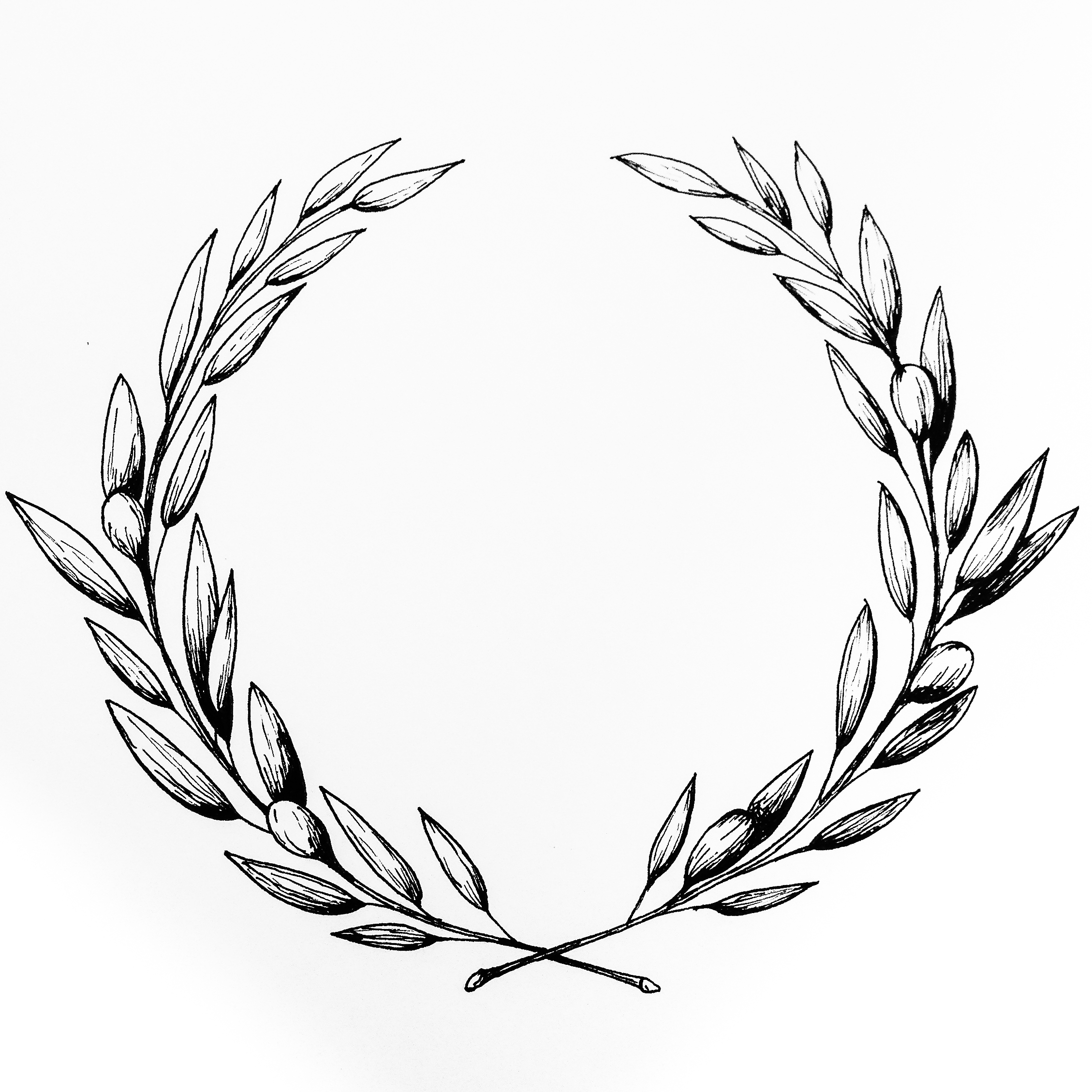 Olive Wreath Drawing at GetDrawings Free download