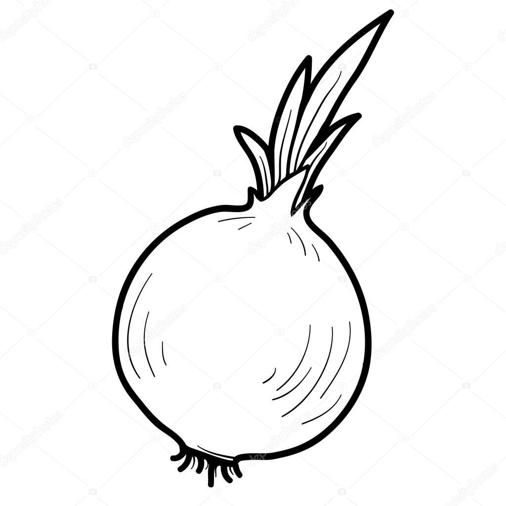 Creative Onion Sketch Drawing for Adult