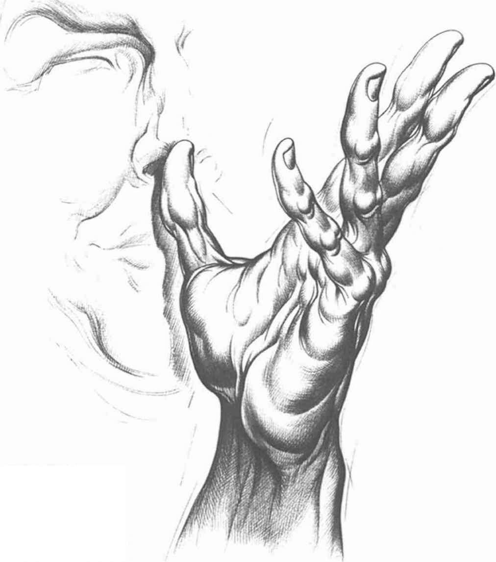 Open Hand Drawing at GetDrawings | Free download