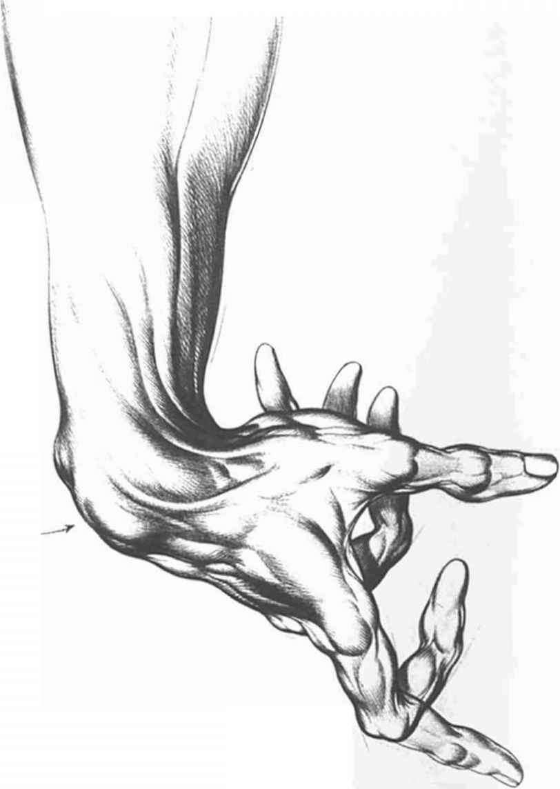 Open Hands Drawing at GetDrawings | Free download