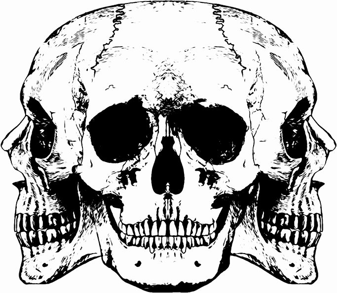 Open Mouth Skull Drawing at GetDrawings | Free download