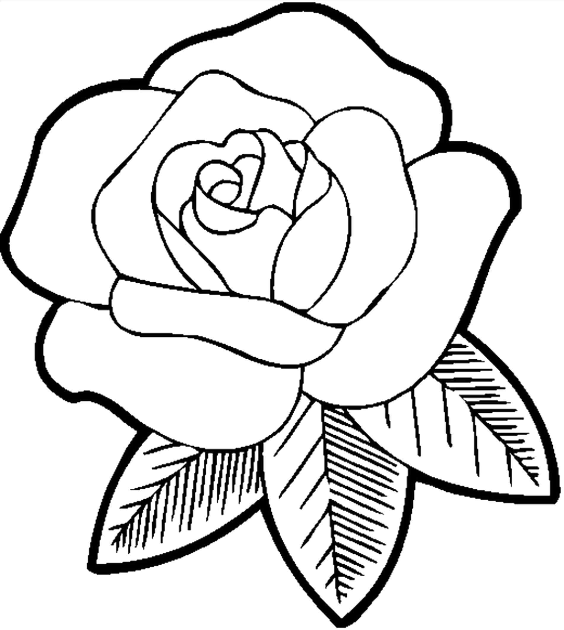 Open Rose Drawing Step By Step at GetDrawings Free download